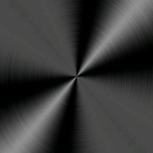 Meet your Posher, Raesean